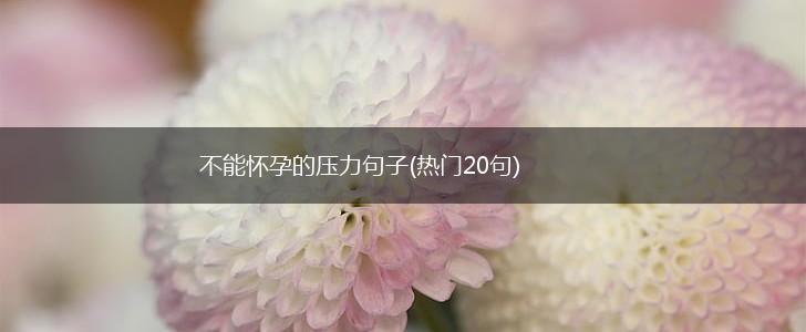 不能怀孕的压力句子(热门20句),第1张