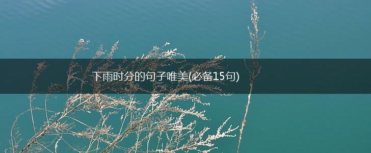 下雨时分的句子唯美(必备15句),第1张