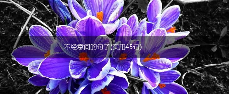 不经意间的句子(实用45句),第1张