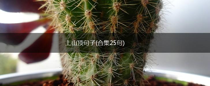 上山顶句子(合集25句),第1张