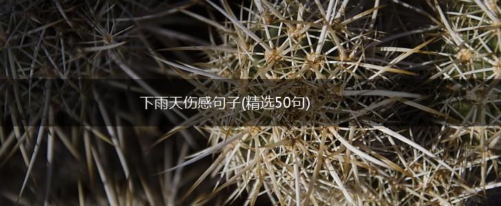 下雨天伤感句子(精选50句),第1张