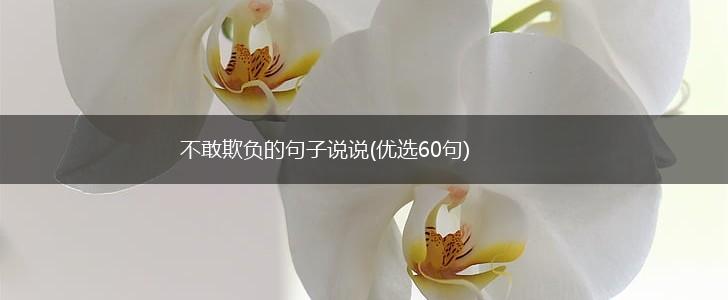 不敢欺负的句子说说(优选60句),第1张