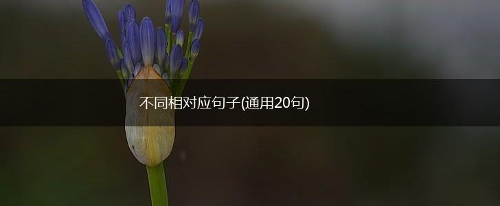 不同相对应句子(通用20句),第1张
