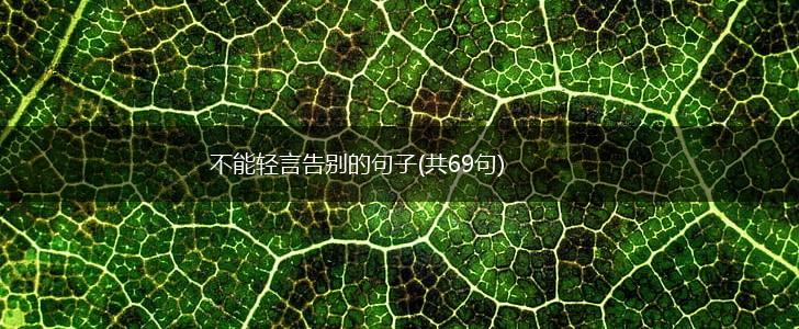 不能轻言告别的句子(共69句),第1张