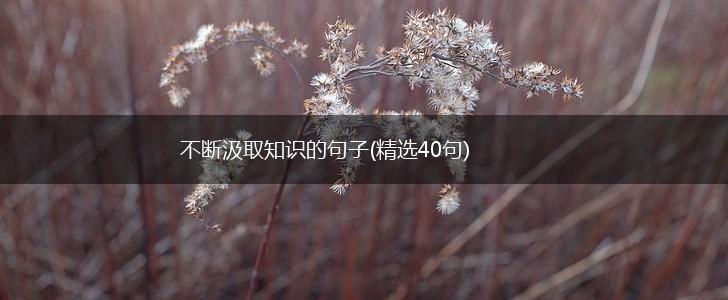不断汲取知识的句子(精选40句),第1张