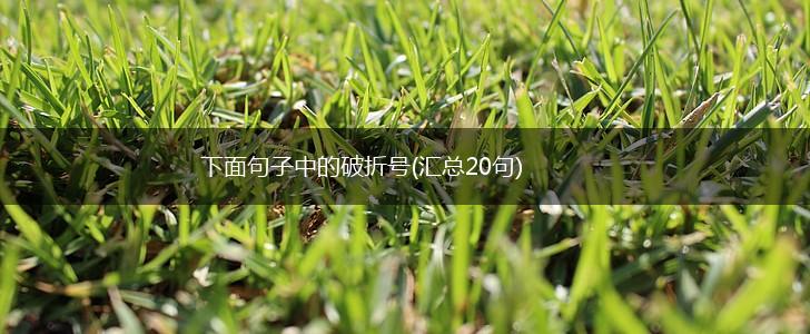 下面句子中的破折号(汇总20句),第1张