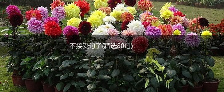 不接受句子(精选80句),第1张