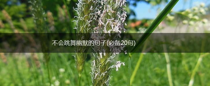 不会跳舞幽默的句子(必备20句),第1张