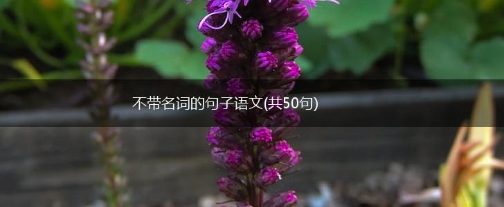 不带名词的句子语文(共50句),第1张