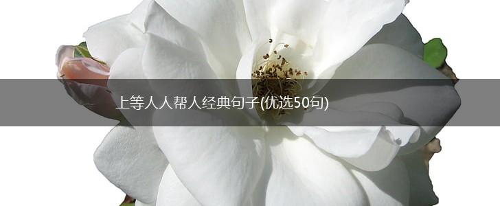上等人人帮人经典句子(优选50句),第1张