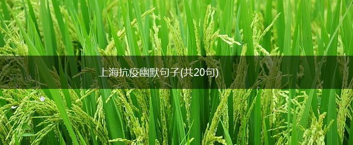 上海抗疫幽默句子(共20句),第1张