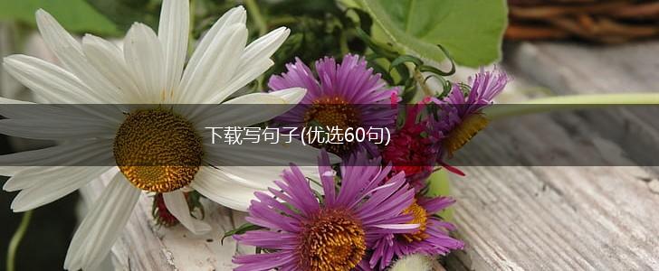 下载写句子(优选60句),第1张