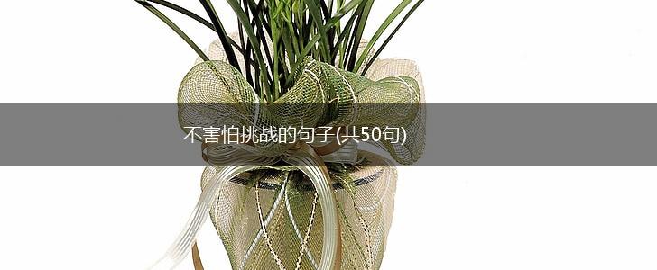 不害怕挑战的句子(共50句),第1张