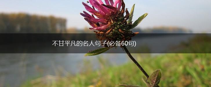 不甘平凡的名人句子(必备60句),第1张
