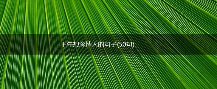 下午想念情人的句子(50句),第1张