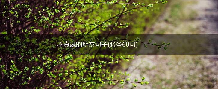 不真诚的朋友句子(必备60句),第1张
