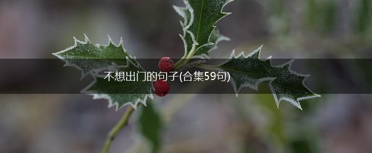 不想出门的句子(合集59句),第1张