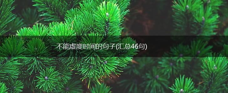 不能虚度时间的句子(汇总46句),第1张
