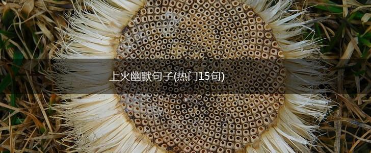 上火幽默句子(热门15句),第1张