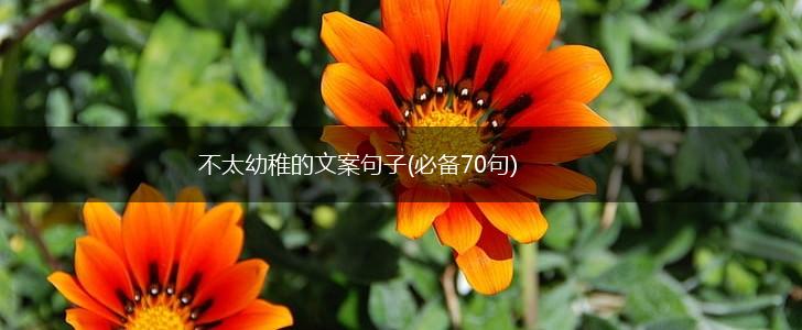 不太幼稚的文案句子(必备70句),第1张