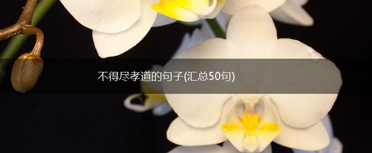 不得尽孝道的句子(汇总50句),第1张