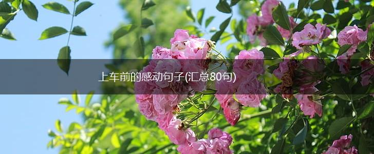 上车前的感动句子(汇总80句),第1张