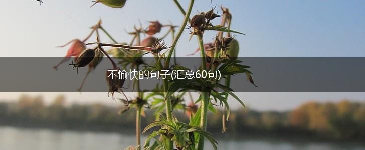 不愉快的句子(汇总60句),第1张