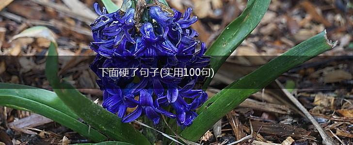 下面硬了句子(实用100句),第1张