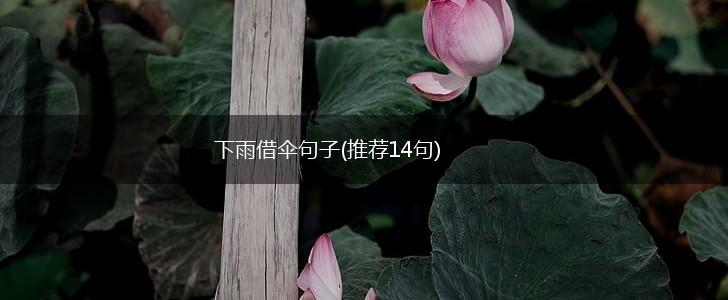 下雨借伞句子(推荐14句),第1张