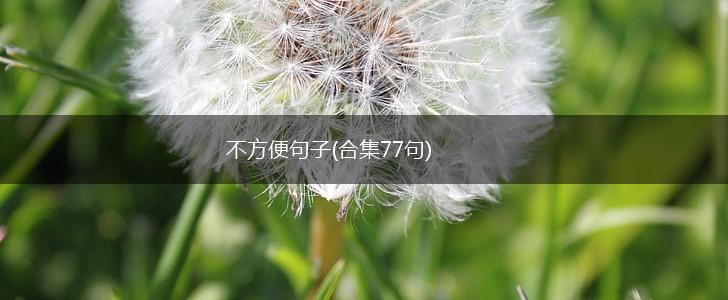 不方便句子(合集77句),第1张