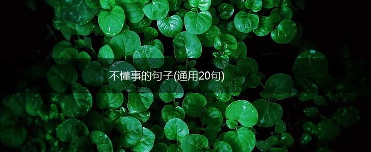 不懂事的句子(通用20句),第1张