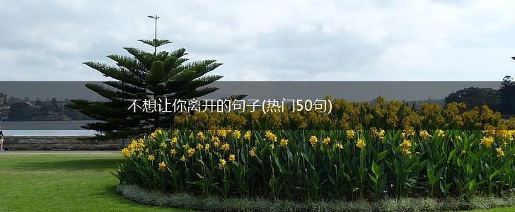 不想让你离开的句子(热门50句),第1张