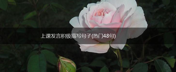 上课发言积极描写句子(热门48句),第1张