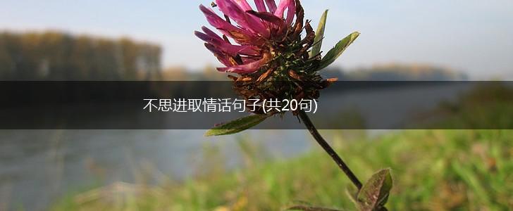 不思进取情话句子(共20句),第1张