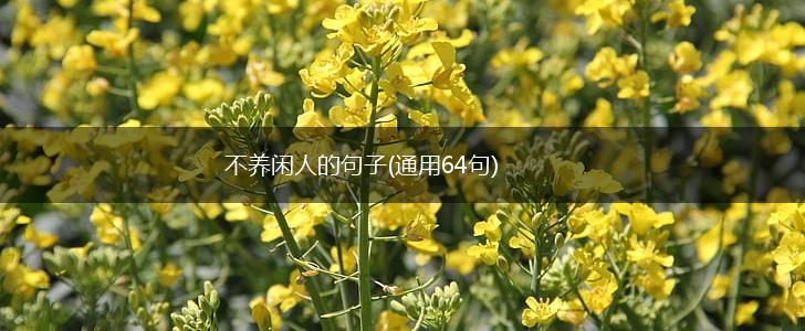 不养闲人的句子(通用64句),第1张