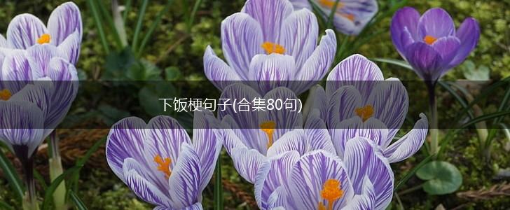 下饭梗句子(合集80句),第1张