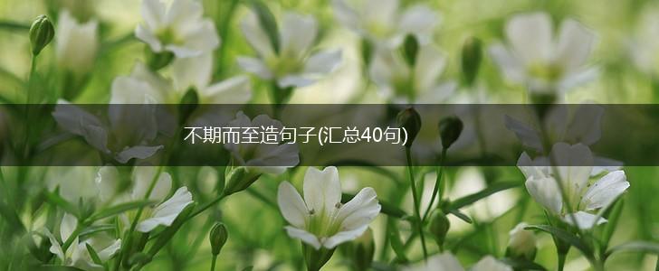 不期而至造句子(汇总40句),第1张