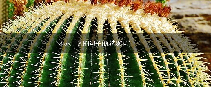 不求于人的句子(优选80句),第1张