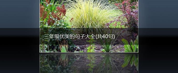 三年级优美的句子大全(共40句),第1张