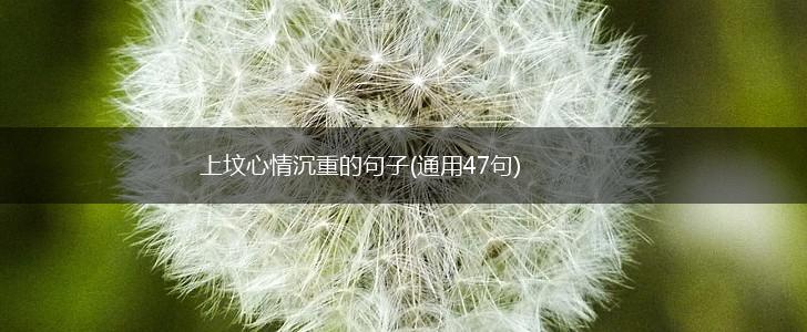 上坟心情沉重的句子(通用47句),第1张