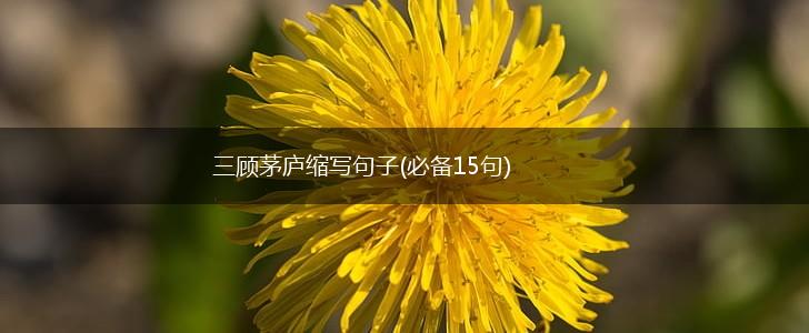 三顾茅庐缩写句子(必备15句),第1张