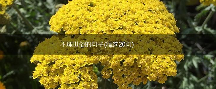 不理世俗的句子(精选20句),第1张