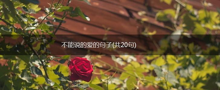 不能说的爱的句子(共20句),第1张