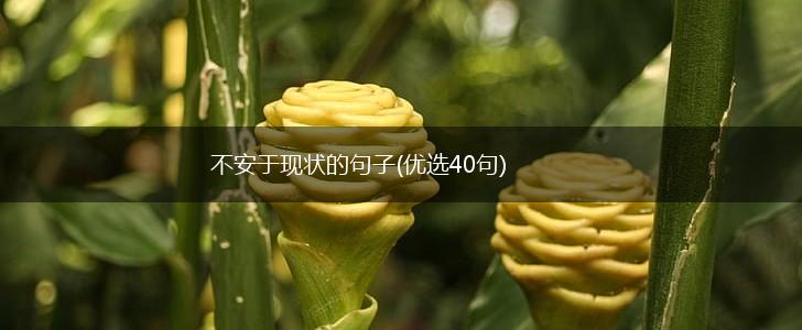 不安于现状的句子(优选40句),第1张