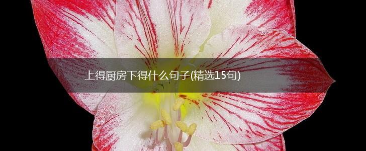 上得厨房下得什么句子(精选15句),第1张