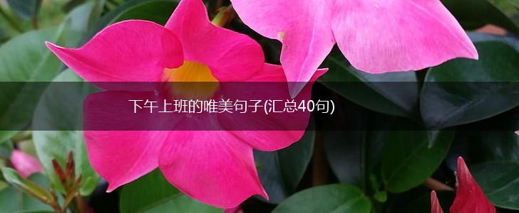 下午上班的唯美句子(汇总40句),第1张