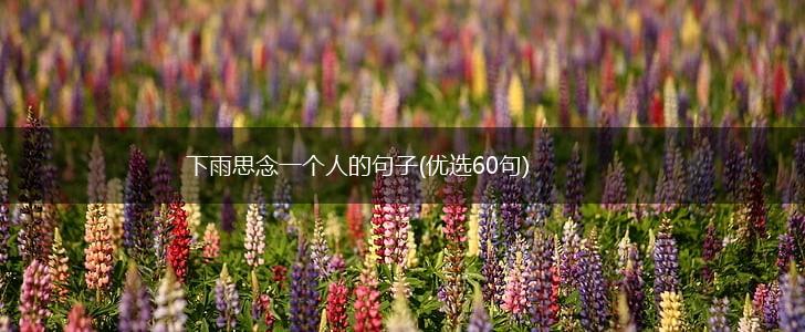 下雨思念一个人的句子(优选60句),第1张