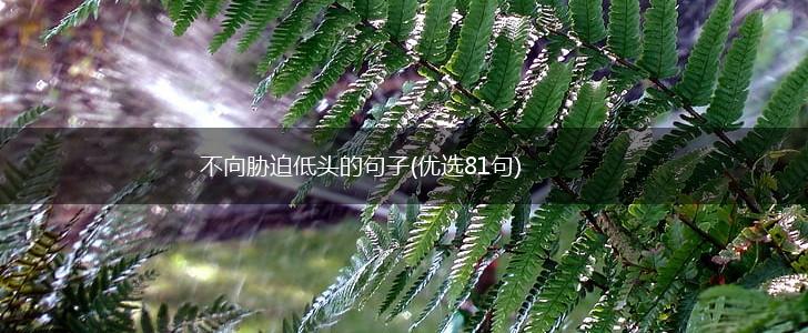 不向胁迫低头的句子(优选81句),第1张