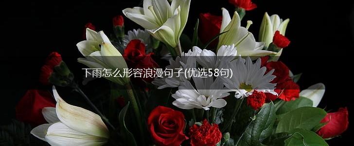 下雨怎么形容浪漫句子(优选58句),第1张