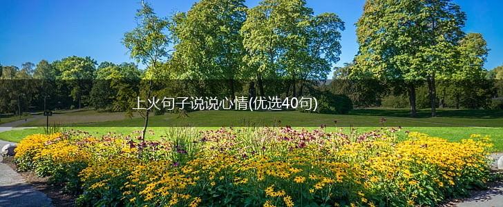 上火句子说说心情(优选40句),第1张